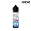 Nice To Meet You Ice Watermelon Gum 60ml