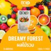 Infinity BOLD Dream forest